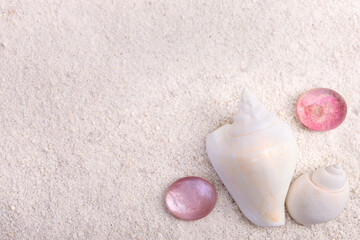 Fototapeta na wymiar Border with seashells and red glass pebbles on white sand.