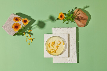 Minimal background for cosmetics product presentation with ingredient from calendula. On the green...