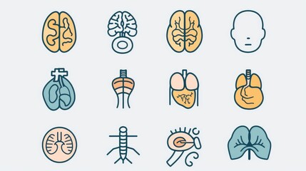 Human Body Organs Vector Icon Set for Medical Use - obrazy, fototapety, plakaty