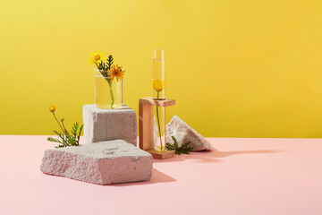 On yellow and pink background, fresh calendula flowers on glassware decorated with gray blocks of...