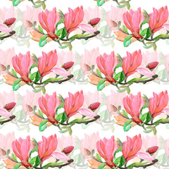 Seamless pattern of flowers magnolia.Image on a white and colored background. Watercolor.