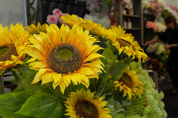 Beautiful sunflowers in a flower shop