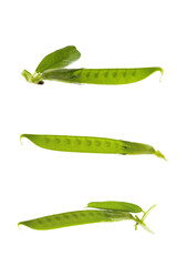 leaves and siliqua of common vetch on a white background