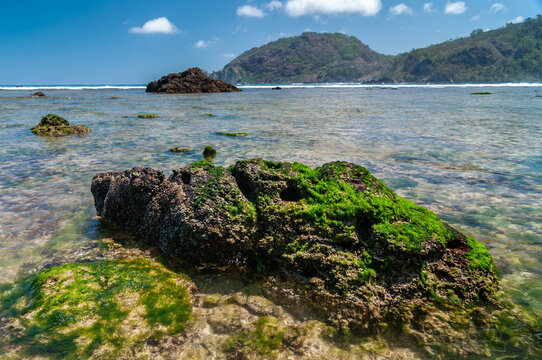 the beauty of wediombo beach in gunungkidul, with a foreground of bebaruan and a backdrop of a row of thousand mountains during the day.