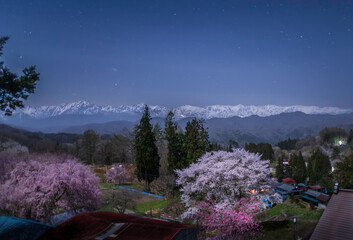 小川村立屋展望台から月明かりに照らされた満開の桜と北アルプス