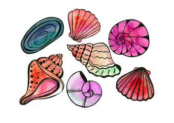 Set of different types of seashells and shells isolated on white background. Different colors and shades. Red, pink, blue, purple. Watercolor blur. Details are drawn with a black outline.
