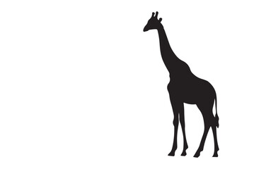  vector of a cute giraffe in black and white