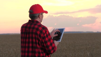 Male farmer use tablet pc analyzing cultivation data at wheat field closeup. Modern man...