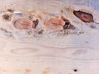 New wooden plank natural knots pattern background. Rotten coarse gray grunge knot on old wooden...