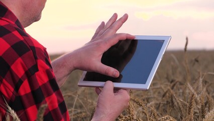 Male agricultural farmer use digital tablet pc at sunset dry wheat field closeup. Man industrial...