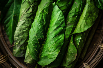 Rolled tobacco leaves focus on natural aspect of an unhealthy product
