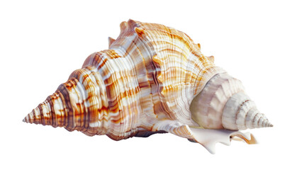 Fototapeta premium Opening an oyster and a pearl,on white background