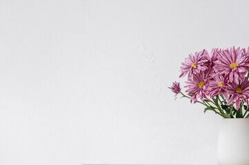 Pink chrysanthemum flowers bouquet in vase isolated on neutral white wall background empty copy space, minimalist aesthetic floral backdrop
