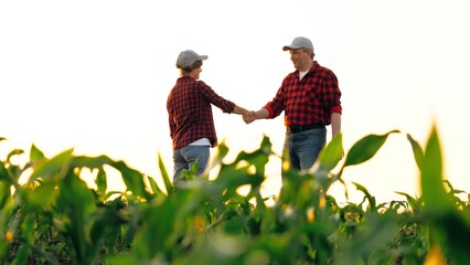 Two farmer agronomist colleagues shaking hand collaboration at corn field with sky. Man and woman agricultural worker handshaking work as team partnership at harvest cultivation industrial plantation