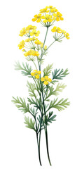 Fototapeta premium branch of a flower