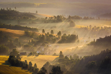 Golden sun rays shining through the foggy morning above the forest valley near the town of Trutnov...