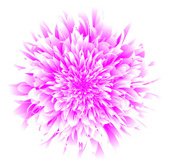 Obraz premium Floral design resembling a large blooming flower. It comes in vibrant shades of pink, transitioning from deep purples at the core to soft, almost white-pink tones at the tips of the petals