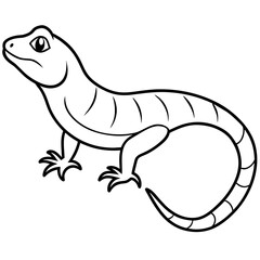 illustration of lizard