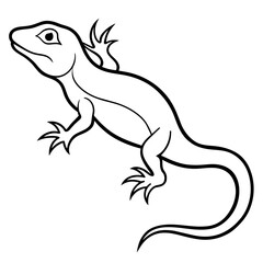 lizard isolated on white