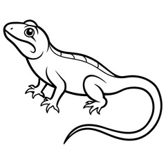 Fototapeta premium lizard line -art vector