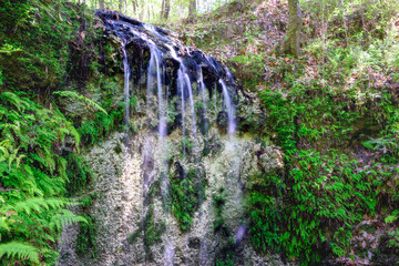 waterfall Falling Waters State Park green foliage limestone