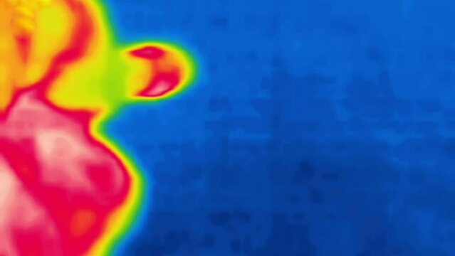 People walk in the park along the park paths. The camera shoots under feet. . Vertical video., Image from thermal imager device.