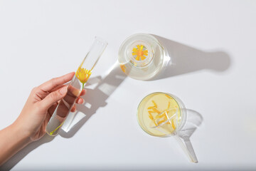 The woman's hand is holding a test tube on a white background along with other glassware containing...