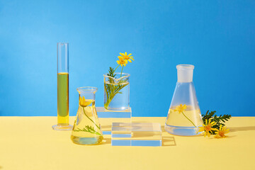 Front view of lab glassware decorated with calendula flower and transparent podium on blue...