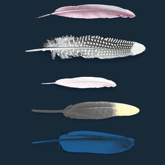 Textile and digital seamless pattern feather design 