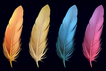 Exotic Bird Feather Gradients: Stunning Wildlife Beauty Showcase