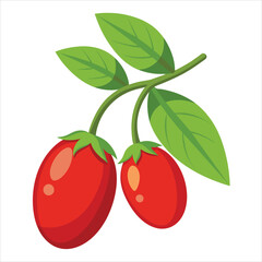 colorful illustration of gojiberry