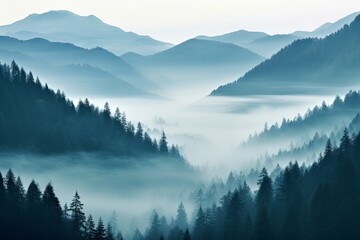 Enigmatic Fog: Transcendent Gradient Overlays Blanket Enchanting Scenes