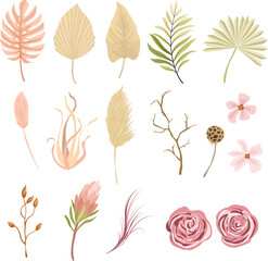 Protea flower, tropical palm, rose, dry tropical leaves, floral elements. Trendy winter, autumn wedding bouquets, vintage decoration. Collection of vector isolated illustrations