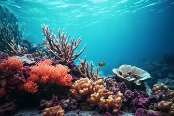 Fototapeta na wymiar Underwater Reef Coral Gradients: Deep Sea Gradient Textures Dive