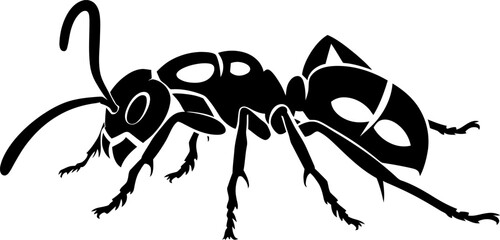 Ant silhouette in black color. Vector template illustration design.