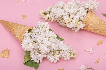 White lilac flowers in waffle ice cream cones on pink background. Flat lay, spring concept