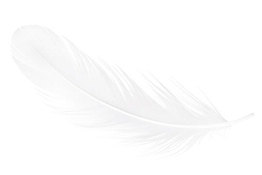 White feather isolated on transparent background.