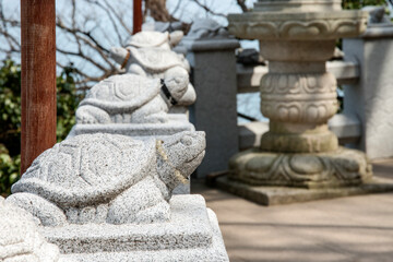 View of the turtle statue in the Buddhist temple building