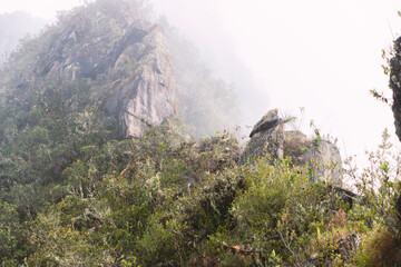 tropical mountain ridge