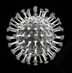 The virus is depicted as a large, round ball with many small circular protrusions on its surface that resemble tiny, rounded spikes