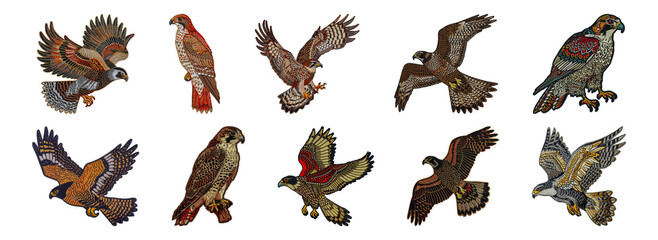 Embroidered falcon of prey in flight cut out png on transparent background