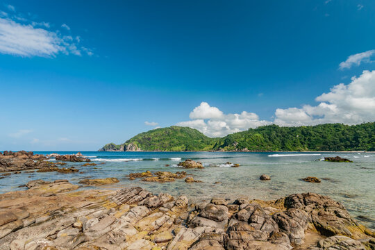 the beauty of wediombo beach in gunungkidul, with a foreground of bebaruan and a backdrop of a row of thousand mountains during the day.