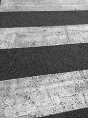 Fototapeta premium Pedestrian crossing of a road crossing