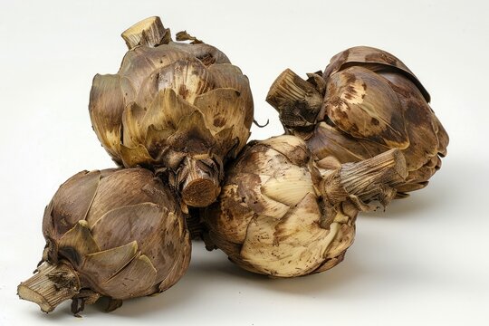 Jerusalem Artichoke, the ancient veggie from kitchen garden - isolated cut-out of tasty topinambour