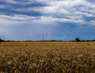 Champs, &eacute;clair 
