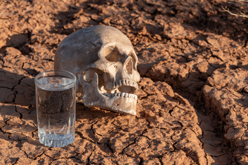 A glass of drinking water and a human skull against the background of heat-cracked clay in the...