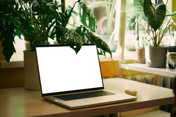 Sunlit Office Desk with Laptop and Monstera