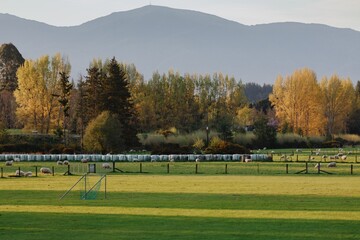 Sports field and arm in  Upper Moutere, Tasman, New Zealand.
