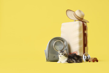 Cute cat with backpack carrier, suitcase and wooden car on yellow background