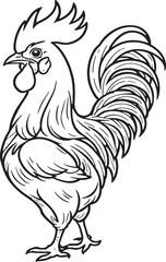 A rooster stands with its head up and its beak open